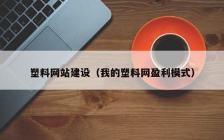 安顺塑料网站建设（我的塑料网盈利模式）